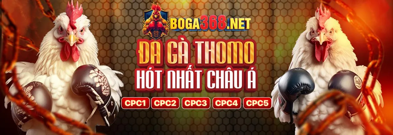 Tải ứng dụng 888clb code để cá cược trực tuyến